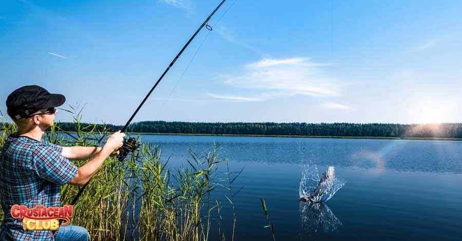 A man catching a fish