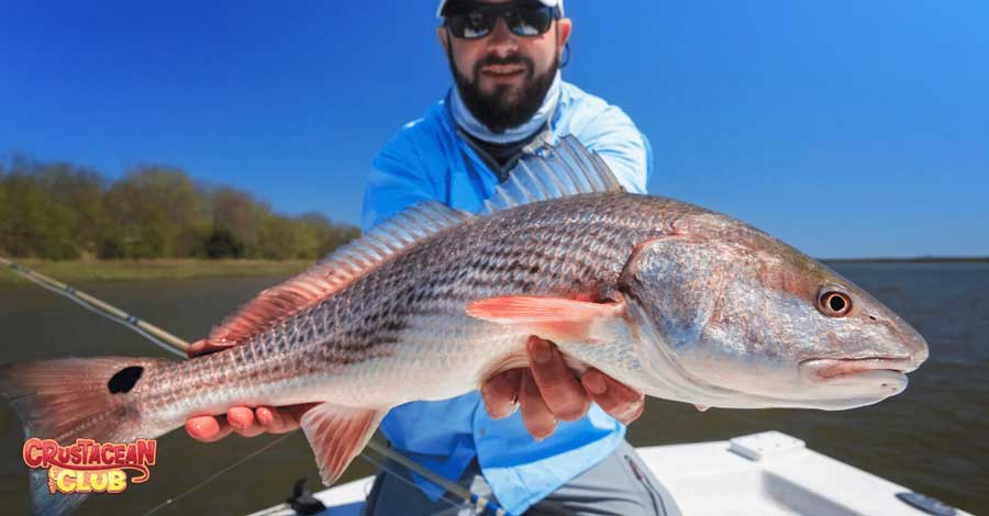 A fisherman with his caught fish