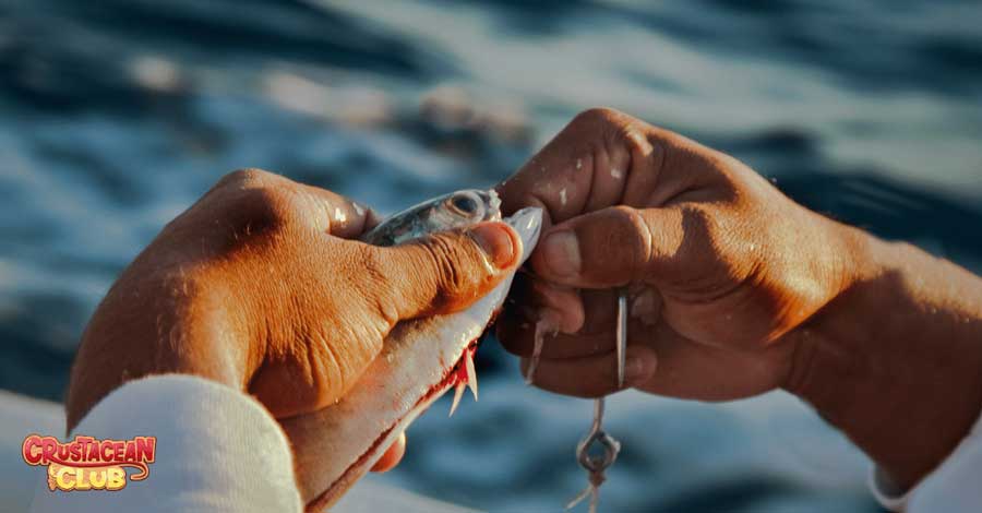 Someone taking the hook off their caught fish