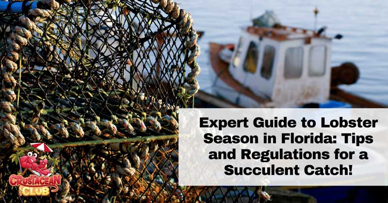 Expert Guide to Lobster Season in Florida: Tips and Regulations for a Succulent Catch! 