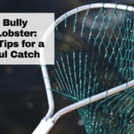 Master Bully Netting Lobster: Essential Tips for a Successful Catch