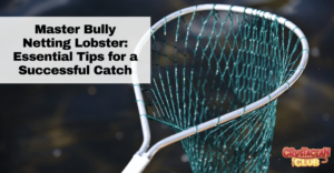 Master Bully Netting Lobster: Essential Tips for a Successful Catch