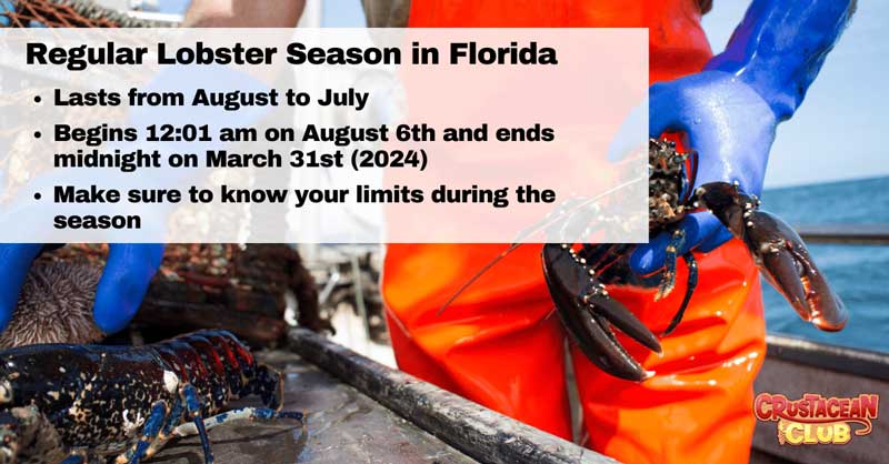 Regular lobster season in Florida tips and guide