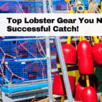 Top Lobster Gear You Need for a Successful Catch!