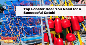 Top Lobster Gear You Need for a Successful Catch!