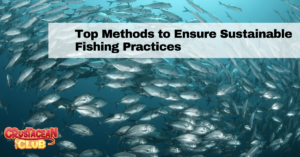 Top Methods to Ensure Sustainable Fishing Practices