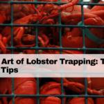 The Art of Lobster Trapping: Techniques and Tips