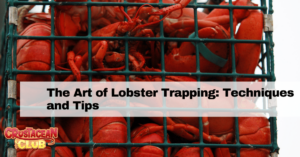 The Art of Lobster Trapping: Techniques and Tips