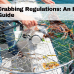 Crabbing Regulations: An Essentials Guide