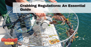 Crabbing Regulations: An Essentials Guide