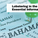 Lobstering in the Bahamas: Essential Information