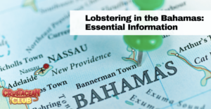 Lobstering in the Bahamas: Essential Information